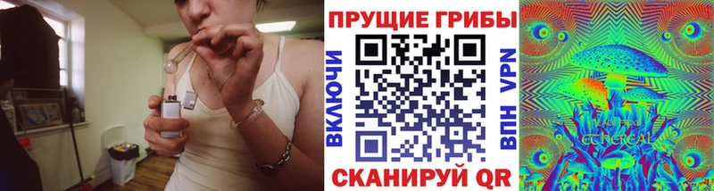 Псилоцибиновые грибы Magic Shrooms  Купить закладки  Тамбов 