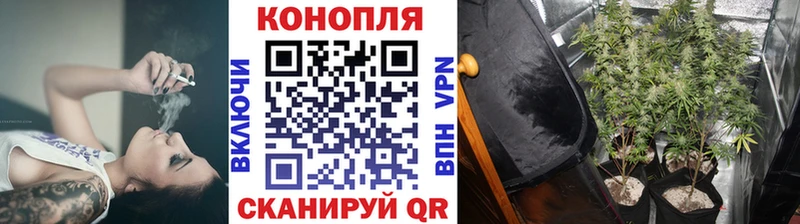 Купить где  Тамбов  Бошки Шишки THC 21% 